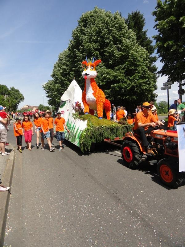 tambours-bgha st genis pouilly 30-05-15_j